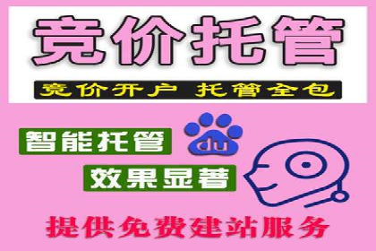 行业揭秘：百度竞价广告的优化技巧与案例